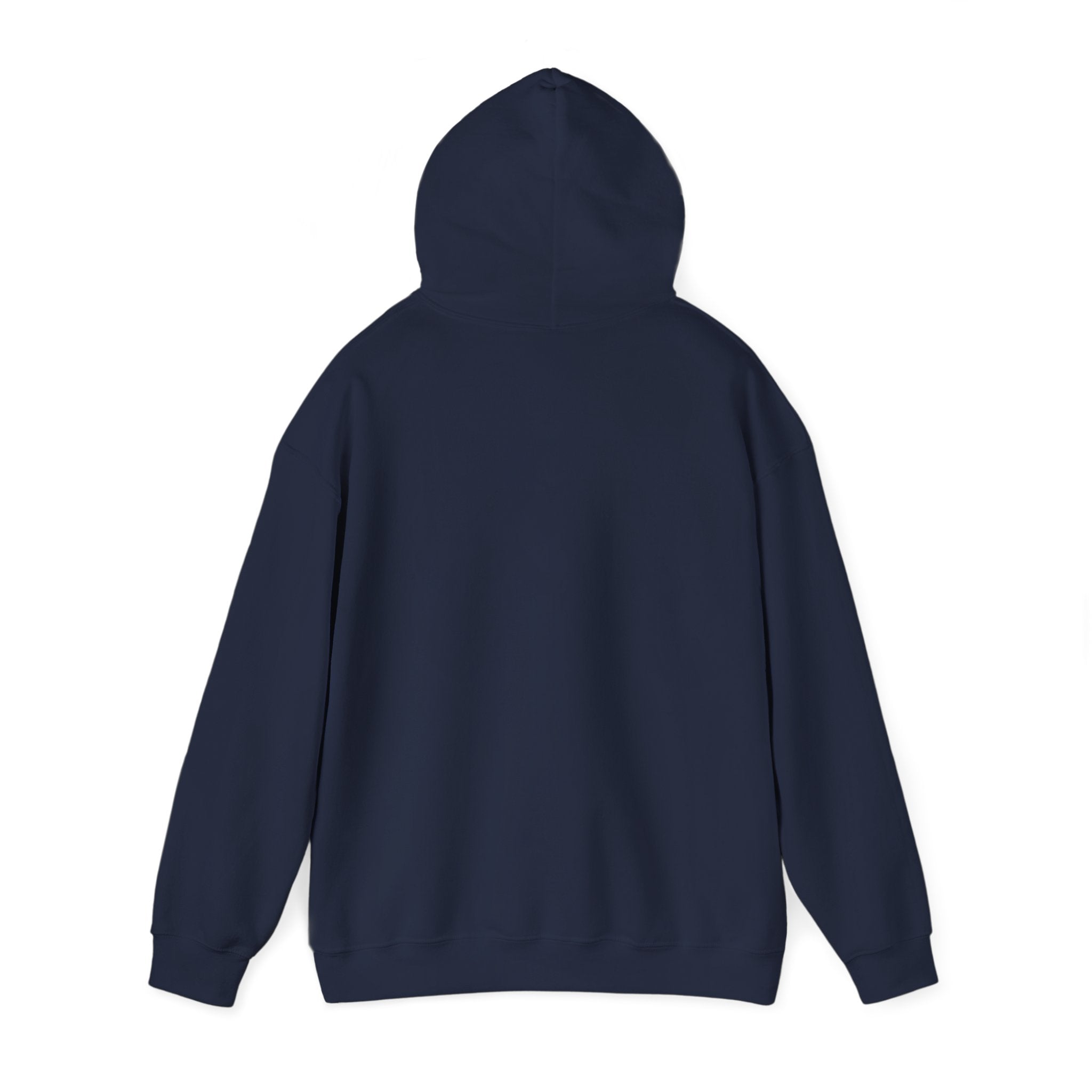 Fishing Hoodie – "Catch a Fish You" Vintage Lake Fishing Sweatshirt