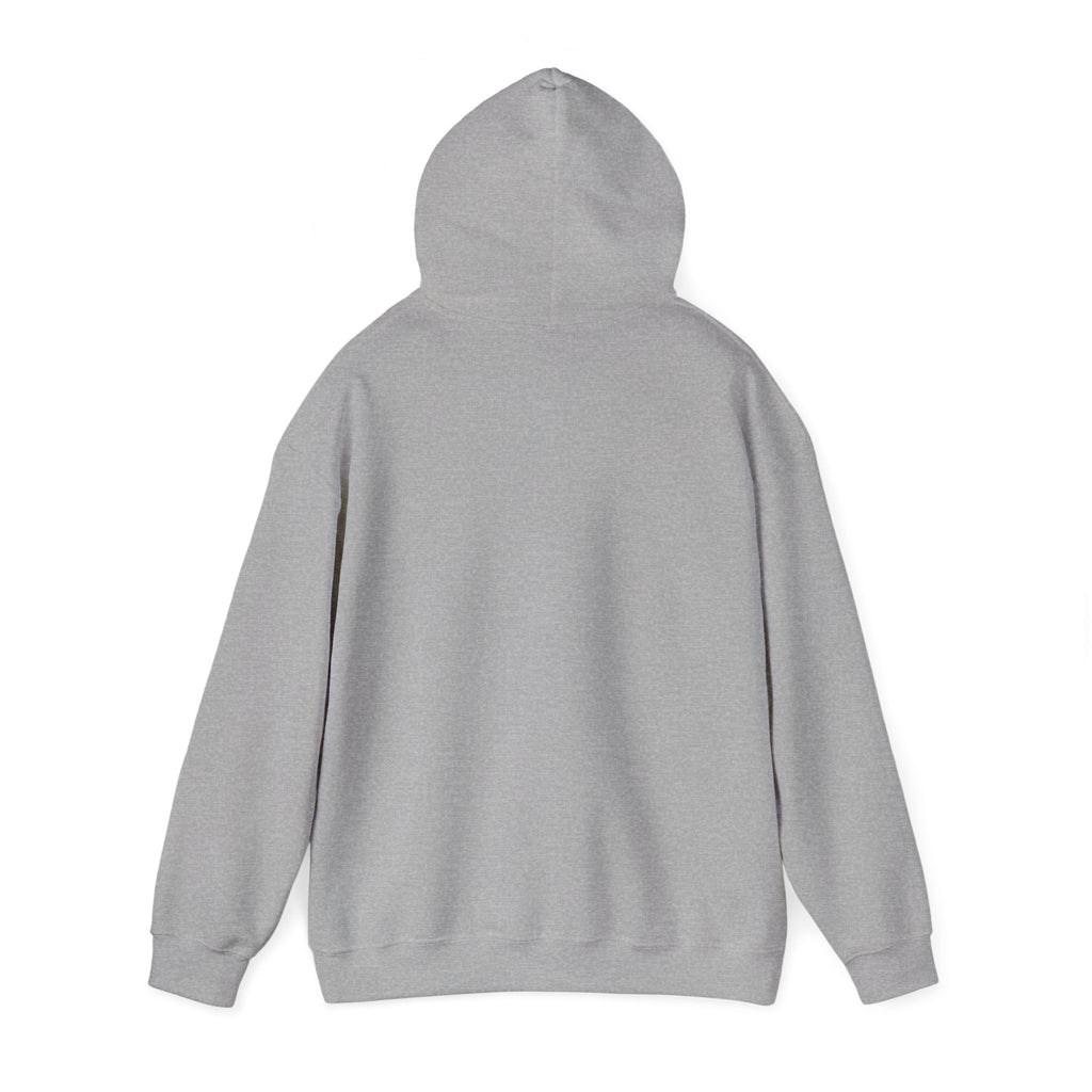 Fishing Hoodie — “Catch A Fish You” Graphic Pullover for Anglers